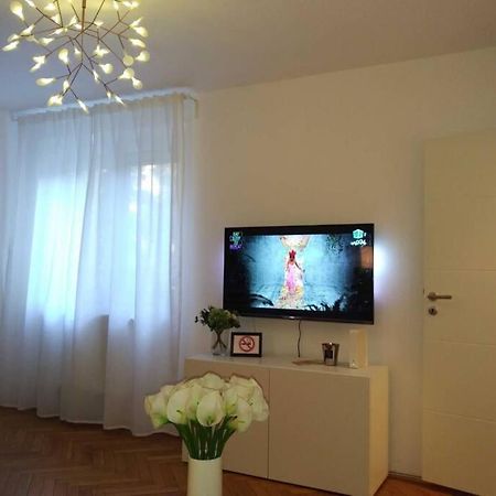 טימישוארה Art & Design Apt - City Center מראה חיצוני תמונה