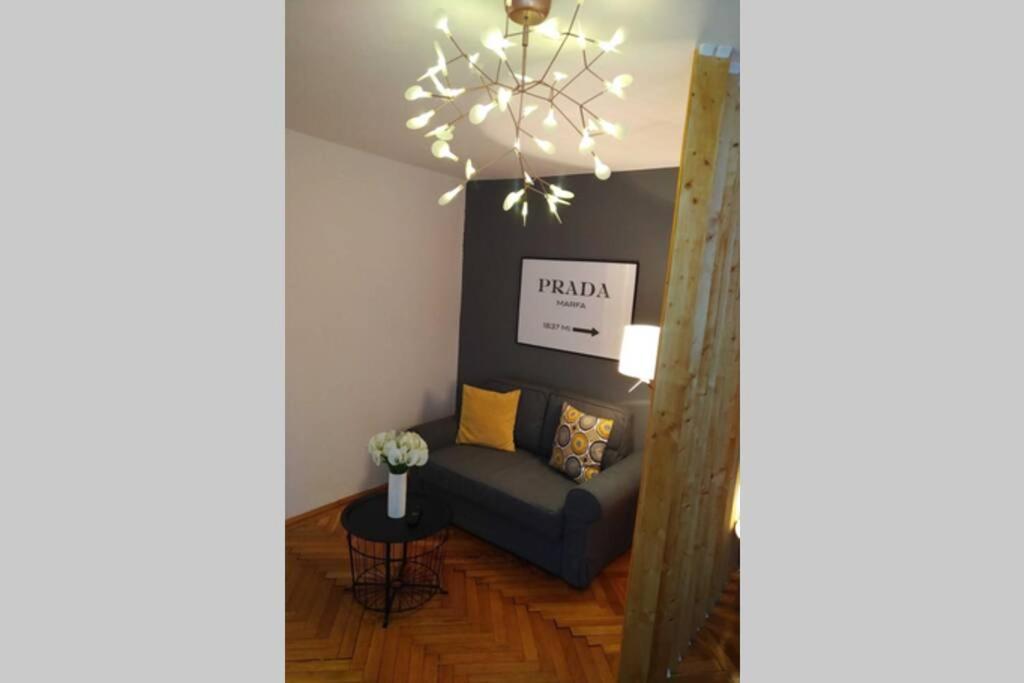 טימישוארה Art & Design Apt - City Center מראה חיצוני תמונה