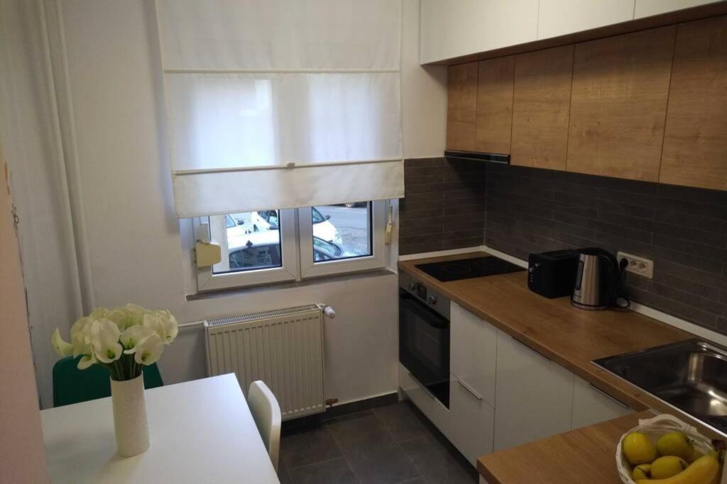 טימישוארה Art & Design Apt - City Center מראה חיצוני תמונה